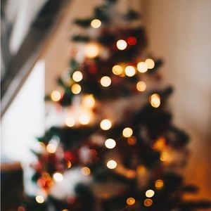 Meet your Posher, Lola